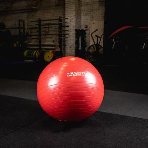 Купить Гимнастический мяч Yousteel Hard 55см в Фурманове 